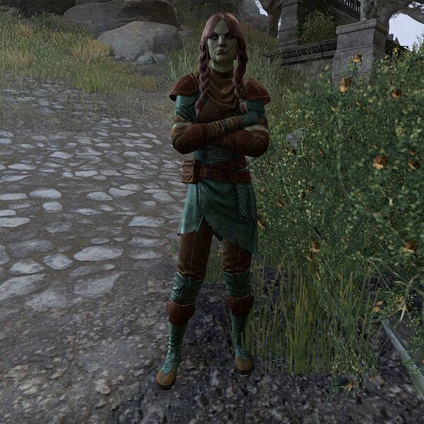 File:ON-npc-Oorbesh.jpg
