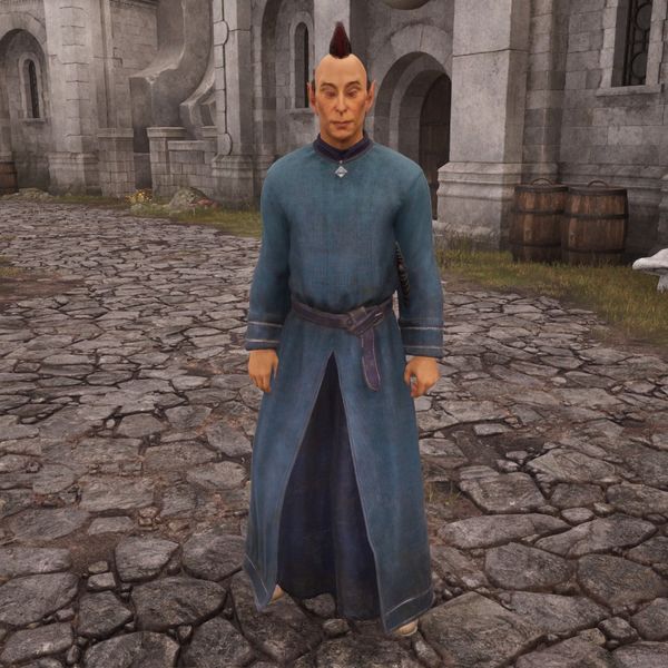 File:OBR-npc-Mage Scholar High Elf 02.jpg