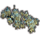 ON-icon-furnishing-Bush, Cave Lichen Cluster.png