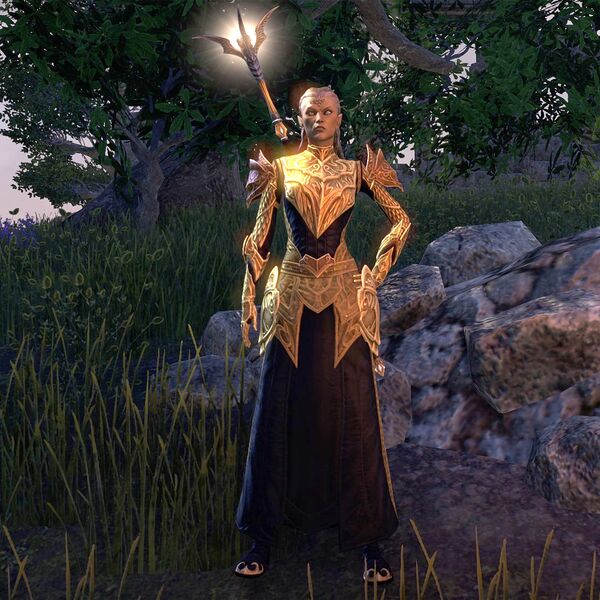 File:ON-npc-High Priest Eraamine.jpg