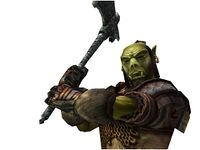 MW-race-Orc 02.jpg