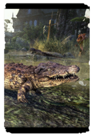 ON-card-Lilmoth Crocodile Hatchling.png