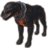 ON-icon-mount-Brimstone Death Hound.png