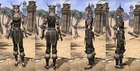 ON-item-armor-Leather-Nord-Female.jpg