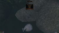 R3-quest-Revealing the History of Fort Ancylis Final Position.jpg