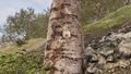 Thumbnail for version as of 14:37, 27 April 2025