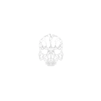 ON-Sigil-necromancer skull.png