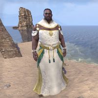 Queen Ayrenn's Diamond Gown (male)