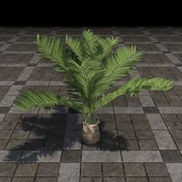 ON-furnishing-Tree, Sierra Palm.jpg