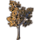 ON-icon-furnishing-Tree, Autumn Aspen.png