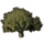 ON-icon-furnishing-Tree, Giant Cork Oak.png