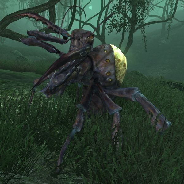 File:SI-creature-Elytra Hatchling (Dementia).jpg