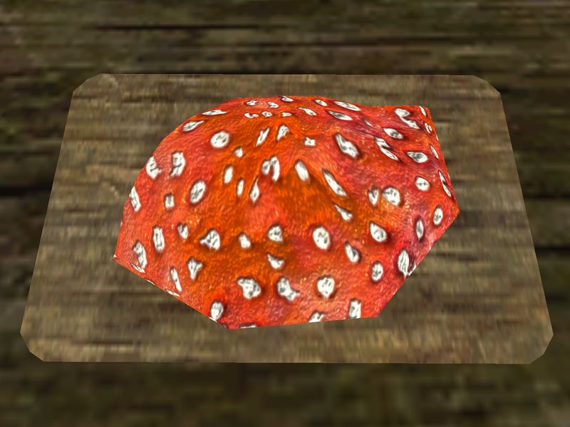 File:TD3-ing-Emetic Russula Cap.jpg