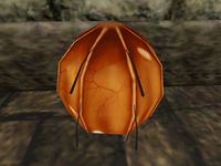 TD3-ing-Kwoom Egg.jpg