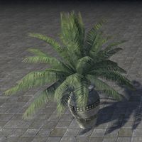 ON-furnishing-Elsweyr Potted Plant, Cask Palm.jpg