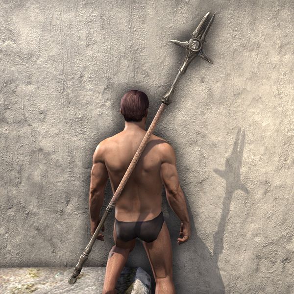 File:ON-item-weapon-Nobility in Decay Staff.jpg