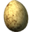 Hawk's Egg