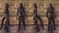 ON-item-armor-Cotton-Jerkin-Argonian-Female.jpg