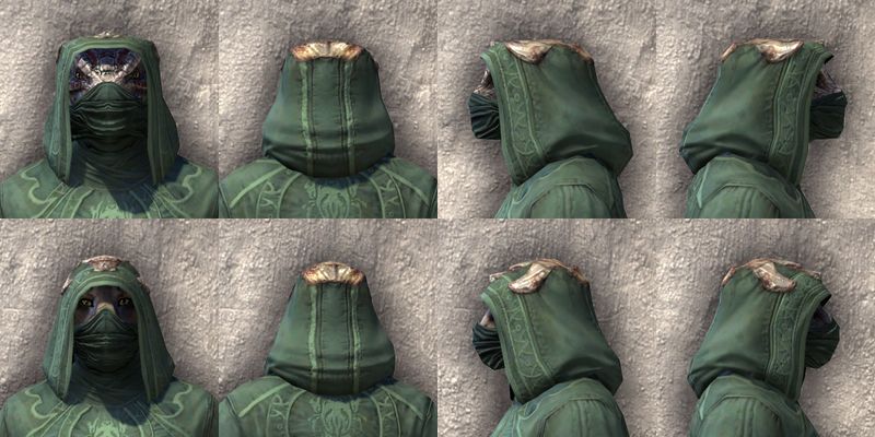 File:ON-item-armor-Morag Tong Light Beast Races.jpg