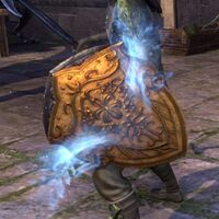 ON-item-armor-Passion Dancer's Shield.jpg