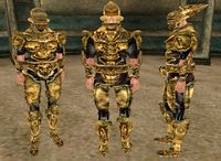 MW-item-Bonemold Armor Male.jpg