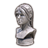 ON-icon-hairstyle-Orsinium Ponytail.png