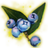 ON-icon-misc-Icebreath Berries of Ripeness.png