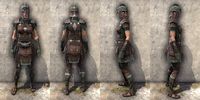 ON-item-armor-Imperial Medium 2 Female.jpg