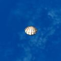 Thumbnail for version as of 01:35, 22 April 2025