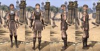 ON-item-armor-Rawhide-Breton-Female.jpg