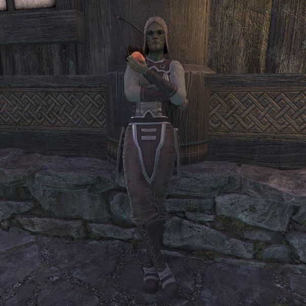 File:ON-npc-Ufgog Half-Orc.jpg