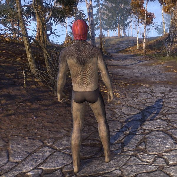 File:ON-skin-Sable Man-Beast (male) 03.jpg
