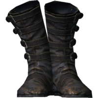 SR-icon-armor-Guild Master's Boots.png