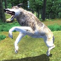 OB-creature-Wolf.jpg