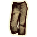 Thumbnail for version as of 06:11, 31 May 2025