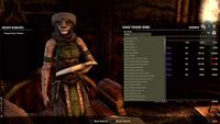 GEN-misc-Update 21 Guild Trader 02.jpg