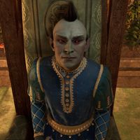 OBR-npc-Count Andel Indarys 02.jpg