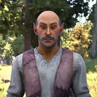 OBR-npc-Merildor 02.jpg