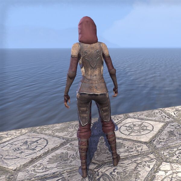 File:ON-costume-Red Rook Armor (back).jpg