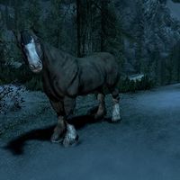 SR-creature-Caravan A Horse.jpg