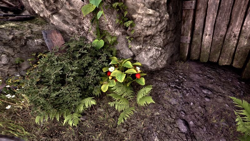 File:OBR-flora-Strawberry Bush.jpg