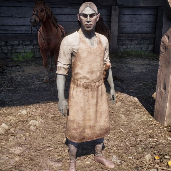 File:OBR-npc-Eronor.jpg