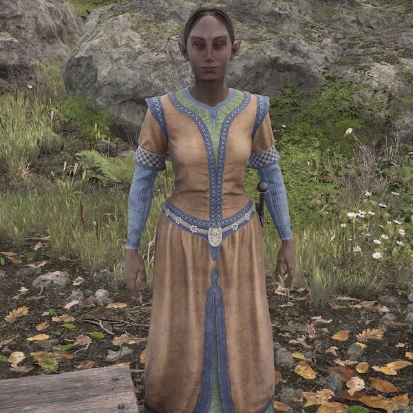 File:OBR-npc-Faurinthil.jpeg