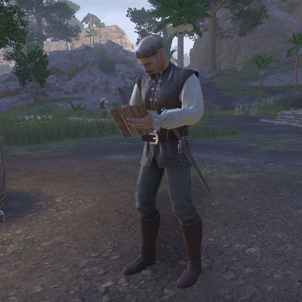 File:ON-npc-Commoner (Solstice) 02.jpg