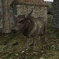 TD3-creature-Cow Skyrim.jpg