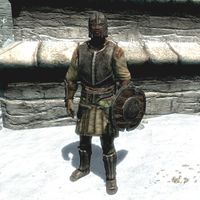 BS5C-item-Iron Armor Male.jpg