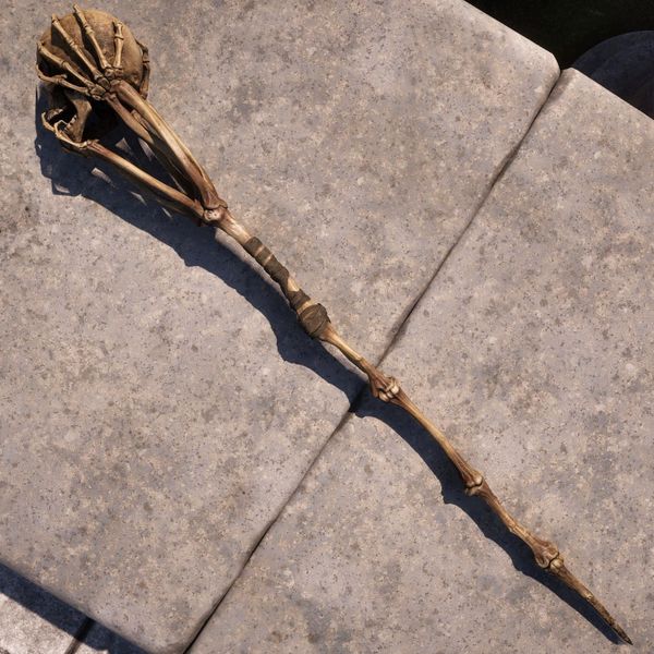File:OBR-item-Staff of Worms.jpg