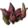 ON-icon-furnishing-Plants, Guar Cabbage Cluster.png