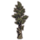 ON-icon-furnishing-Tree, Giant Cypress.png