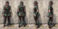 ON-item-armor-Imperial Light Jerkin 3 Female.jpg